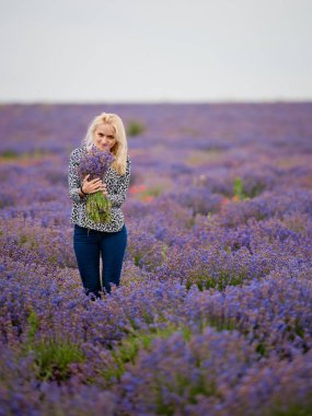 Yumuşak odak çiçek, güzel lavanta çiçek çiçeklenme. Lavanta çiçek bir buket ile şirin kız.