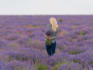 Yumuşak odak çiçek, güzel lavanta çiçek çiçeklenme. Lavanta çiçek bir buket ile şirin kız.