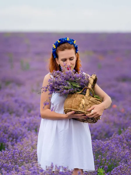 Young Girl White Dress Posing Lavender Field — Stock Photo, Image