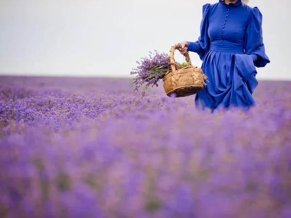 穿着蓝色衣服的年轻女孩 摆在薰衣草地里 — 图库照片