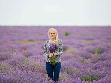 Yumuşak odak çiçek, güzel lavanta çiçek çiçeklenme. Lavanta çiçek bir buket ile şirin kız.
