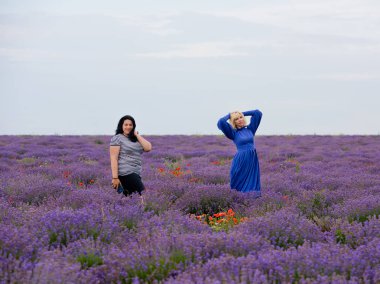 Birlikte poz lavanta alanında farklı saç rengi, iki genç kız.