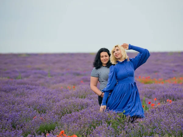 Birlikte poz lavanta alanında farklı saç rengi, iki genç kız.