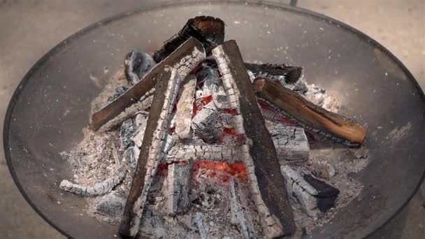 烧烤烧烤和发光的煤。特写. — 图库视频影像