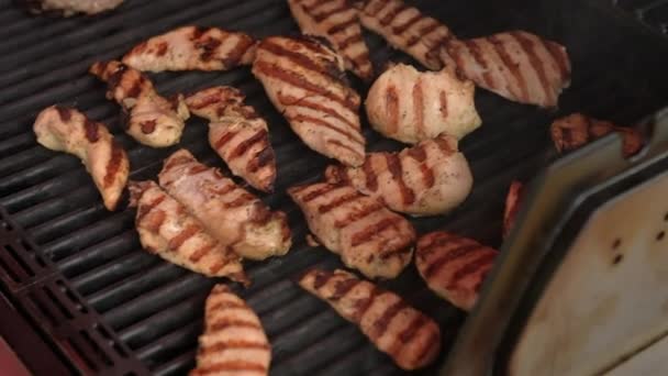 Gegrilde vlees stukjes op de grill. — Stockvideo