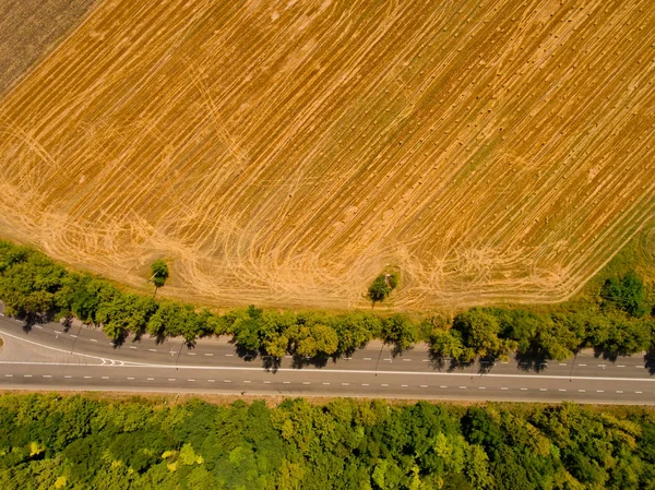 Top View Asphalt Road Passes Field Forest — Stock Photo, Image