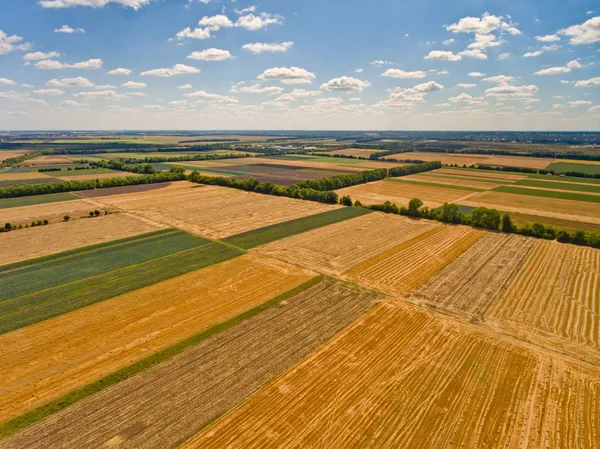 Schöne Luftaufnahme Von Landwirtschaftlichen Feldern Und Blauem Himmel Mit Weißen — Stockfoto