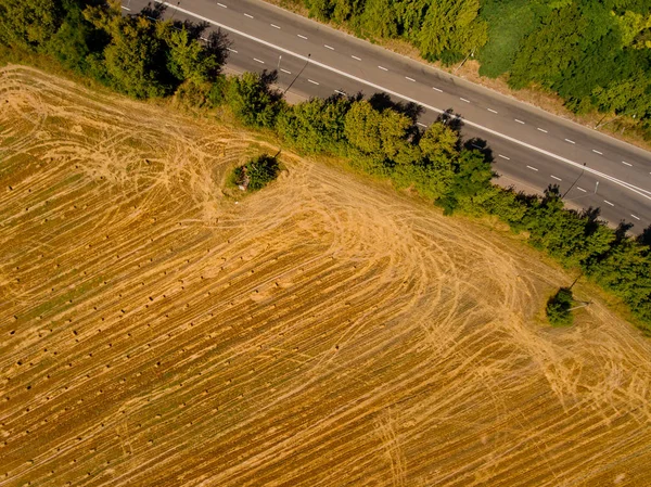 Top View Asphalt Road Passes Field Forest — Stock Photo, Image