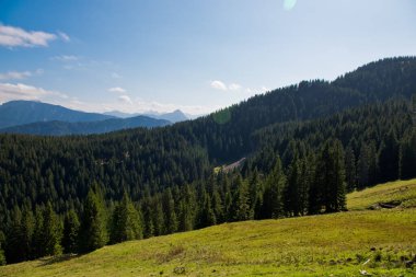 Orman dağları ile manzara.