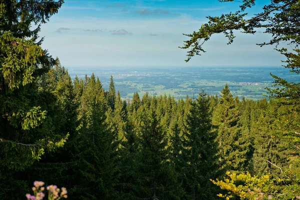 Orman dağları ile manzara.