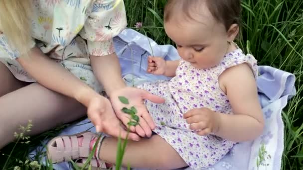 Una joven madre con una hija pequeña juega entre la hierba . — Vídeos de Stock