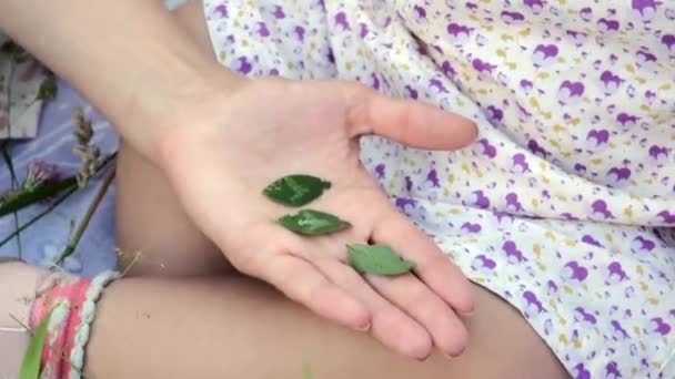 Una joven con una hija pequeña juega entre la hierba. Primer plano de las manos . — Vídeos de Stock