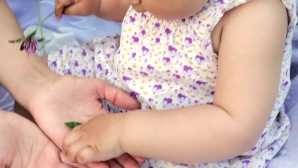 Seorang ibu muda dengan seorang putri kecil bermain di antara rumput. — Stok Video