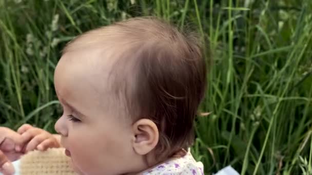 Mam kamt het haar van een klein meisje. Sluitingsdatum. — Stockvideo