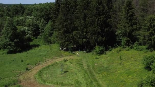 Vista aérea del bosque en Europa. Acercar . — Vídeos de Stock