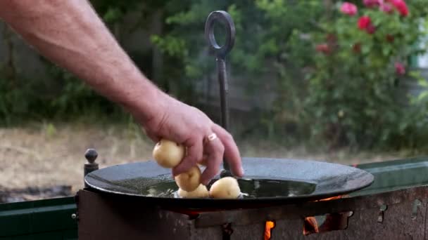 Mladé celé brambory smažené na vařícím oleji na velké pánvi nad otevřeným ohněm. — Stock video