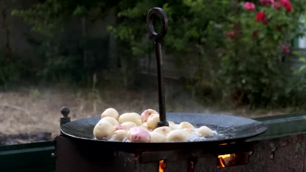 Jonge hele aardappelen gebakken in kokende olie tot een grote koekenpan boven een open vuur. — Stockvideo