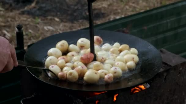 Jonge hele aardappelen gebakken in kokende olie tot een grote koekenpan boven een open vuur. — Stockvideo