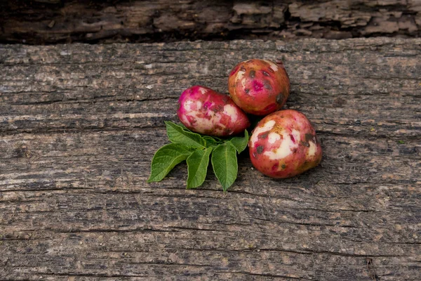 Pommes Terre Crues Jeunes Avec Feuillage Sur Fond Bois — Photo