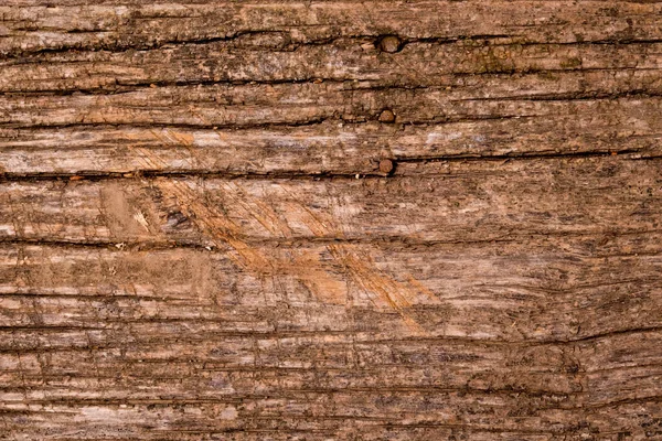 Oude Natuurlijke Houten Achtergrond — Stockfoto