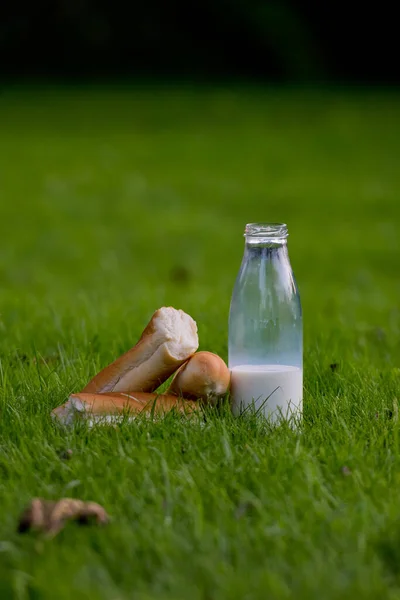 Bottiglia Vetro Con Latte Baguette Fresca Erba Giovane Primo Piano — Foto Stock