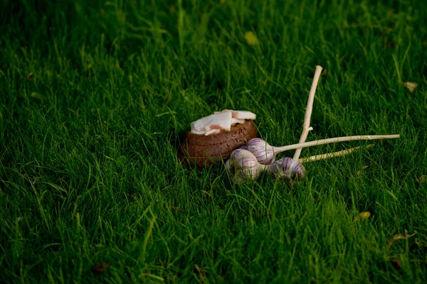 Knoblauch Schmalz Und Brot Auf Einem Grashintergrund — Stockfoto