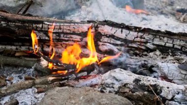 Kamp ateşinde odunları yakmaya yakın çekim. Turuncu ateşte kömür. Yavaş çekim.