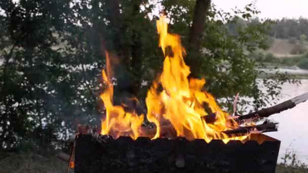 Vuur vlam van brandend brandhout in een metalen rooster. Close-up. — Stockvideo