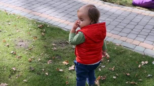 Följer en liten söt flicka i parken. Utsikt bakifrån. Långsamma rörelser. — Stockvideo