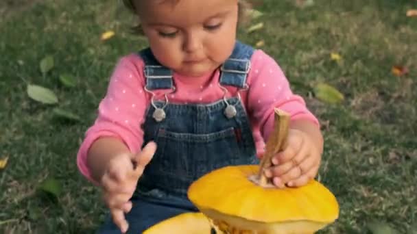 Bébé fille ouvre citrouille Jack lanterne pour Halloween fête. — Video