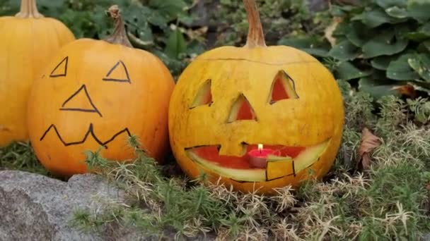 Žhnoucí dýně na Halloween na trávníku v zahradě. Zpomalený pohyb. — Stock video