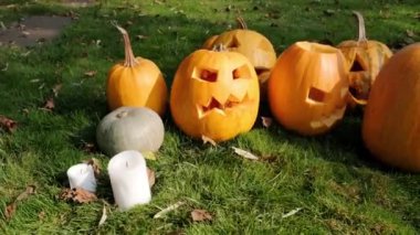 Bahçedeki çimlerin üzerinde Cadılar Bayramı için parlayan balkabakları. Cadılar Bayramı partisi için Jack Lantern.