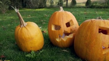 Bahçedeki çimlerin üzerinde Cadılar Bayramı için parlayan balkabakları. Cadılar Bayramı partisi için Jack Lantern.
