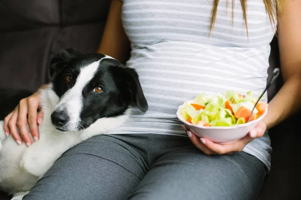 Wszystko Ciąży Kobiety Zdrowy Zielony Sałatka Jej Wierny Pies Domu — Zdjęcie stockowe