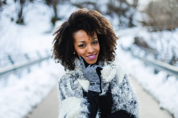 Alegre Elegante Afro Mujer Pelo Retrato Bajo Nieve Camino Montaña — Foto de Stock