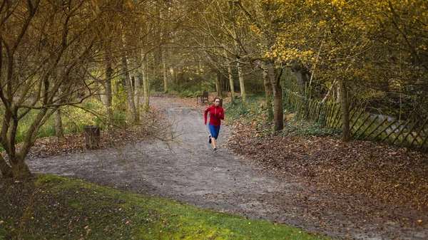 Jeune Femme Courant Sur Chemin Gravier Automne Parc Athlète Femme — Photo