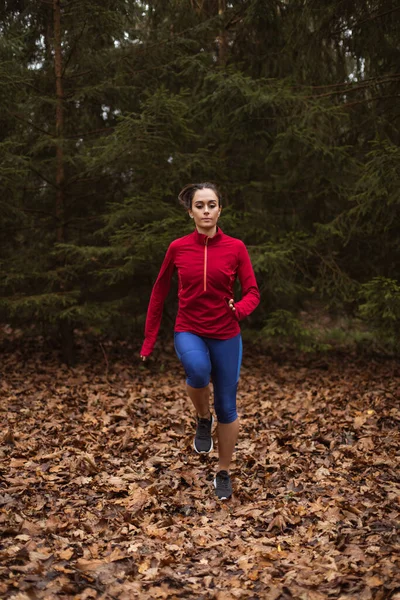 Kvinnlig Idrottsman Plats Hösten Parken Friska Utomhus Fitness Livsstil — Stockfoto