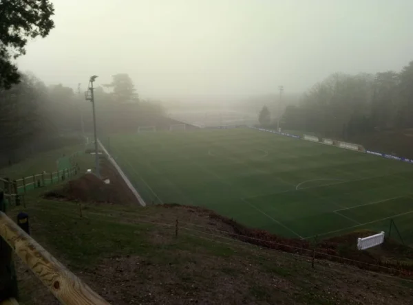 Niebla Densa Sobre Campo — Foto de Stock