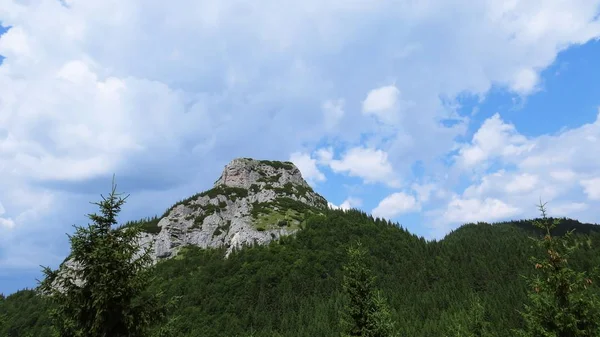 Dağ gibi küçük Rozsutec, Mala Fatra, Slovakya
