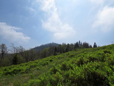 Manzaraya bulutlu gökyüzü ile güzel Dağları