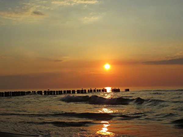 Pôr Sol Bonito Litoral Praia Com Pássaro Gaivota — Fotografia de Stock