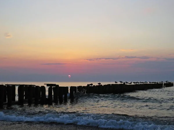 Vackra Solnedgången Strand Vid Havet Med Mås Fågel — Stockfoto