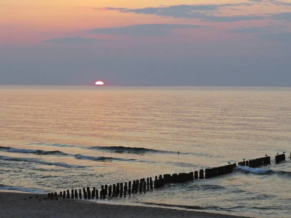 Pôr Sol Bonito Litoral Praia Com Pássaro Gaivota — Fotografia de Stock