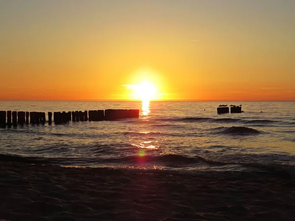 Pôr Sol Bonito Litoral Praia Com Pássaro Gaivota — Fotografia de Stock