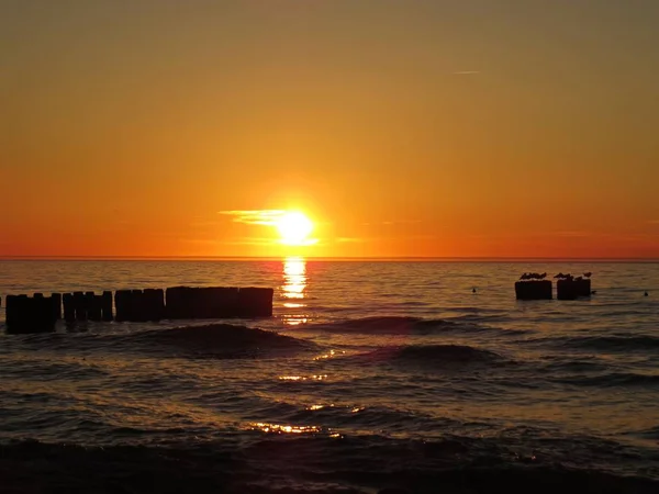 Pôr Sol Bonito Litoral Praia Com Pássaro Gaivota — Fotografia de Stock