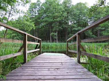 İskele iskele podyum üzerinde nehir Forrest içinde belgili tanımlık geçmiş