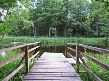 İskele iskele podyum üzerinde nehir Forrest içinde belgili tanımlık geçmiş