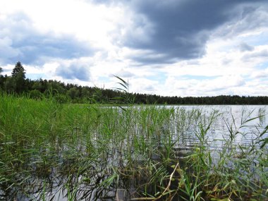 Manzaraya Gölü güzellikler sazlık ve bulutlar