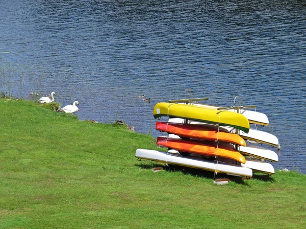 Pile Colorful Kayaks Swan Family River Bank — Stock Photo, Image