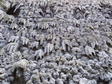 Grotto Drip taş duvar muhteşem Wallenstein Sarayı, Prag, Çek Cumhuriyeti gerekçesiyle bulunan